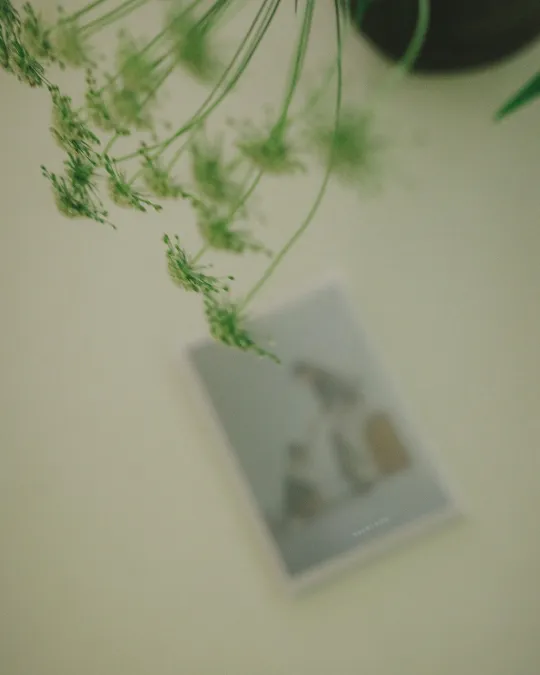 모레시-목업.jpg